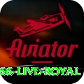 bet66 Live Royal