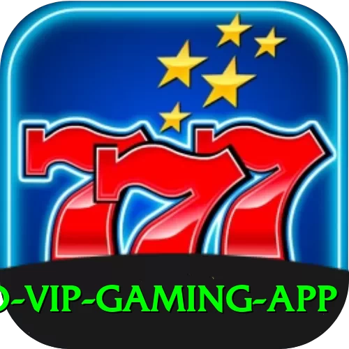 bingo VIP Gaming App - 2