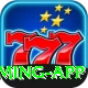 bingo VIP Gaming App