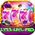 fly33 - Live Pro