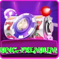 Pak Jackpot Game - Gaming Premium